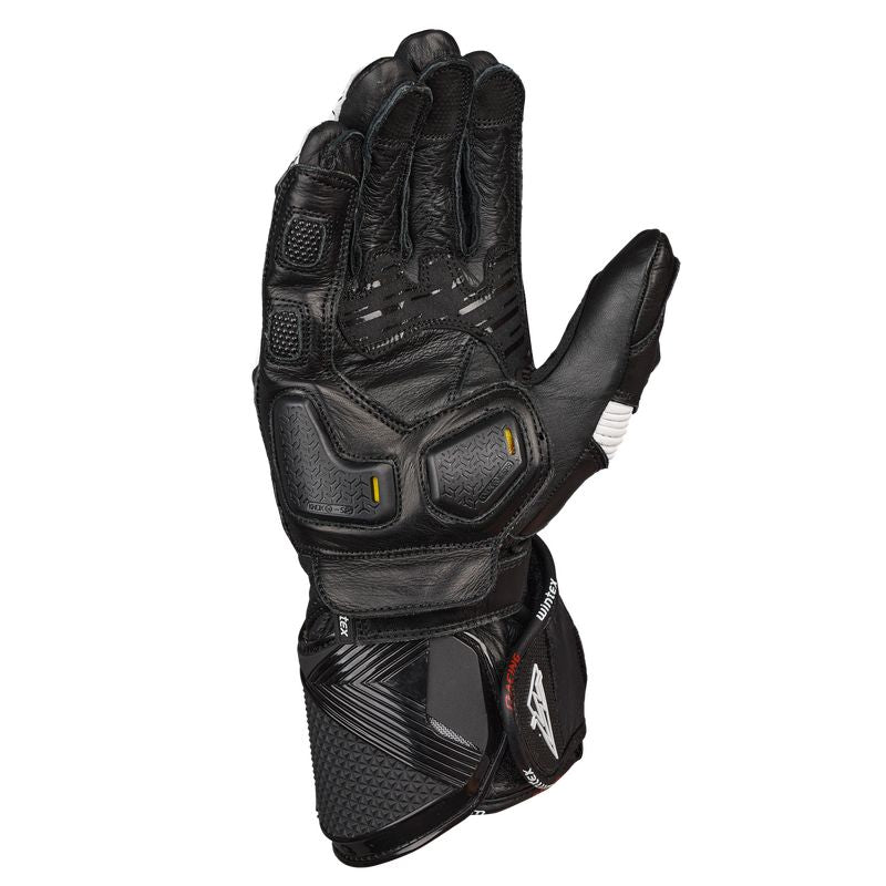 Wintex Evo GP Kangoo