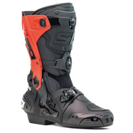 Sidi Rex 