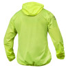 neon